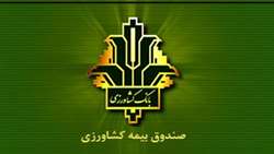 افزایش 140 درصدی غرامت پرداختی به کشاورزان خسارت دیده / جهش ۱۵۰ درصدی تعهدات بیمه گندم/ پوشش 100 درصدی 6.5 میلیون هکتار گندمزار