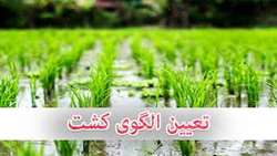 /بررسی بخش هزینه ای لایحه بودجه سال 1402/ درآمد حاصل از عوارض صادرات محصولات آب‌بر کشاورزی صرف اجرای الگوی کشت می‌شود/مخالفت مجلس با عرضه نهادهای کشاورزی در بورس کالا