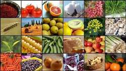 تامین امنیت غذایی کشور از مسیر تحقیقات، آموزش و ترویج کشاورزی می‌گذرد.