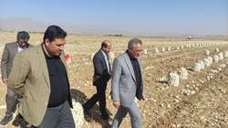 دبیر کمیسیون کشاورزی مجلس شورای اسلامی: کمیسیون کشاورزی مجلس به دنبال جلوگیری از خردشدن اراضی کشاورزی است.