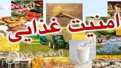 ضریب امنیت غذایی کشور به 80 درصد رسید.