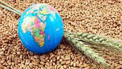 چگونه می توان ضریب امنیت غذایی را با زمین های دیم افزایش داد.