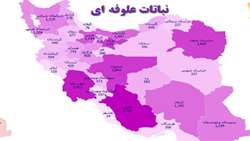 طبقه بندی استان‌های کشور برای تولید علوفه اعلام شد - اینفوگرافیک