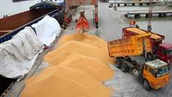 ضریب خودکفایی در کالاهای اساسی افزایش می‌یابد.