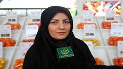مدیرکل دفتر میوه‌های گرمسیری و نیمه گرمسیری اعلام کرد؛ رشد 32 درصدی تولید میوه‌های گرمسیری در ایران طی سه سال