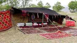 عشایر 25 درصد گوشت قرمز و 35درصد صنایع دستی کشور را تولید می‌کنند.