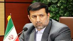 رییس سازمان دامپزشکی: هفت میلیون دام در کشور به طور رایگان واکسینه شدند.