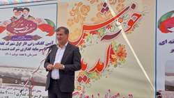معاون وزیر جهادکشاورزی: 48 هزار هکتار به سطح زیرکشت گلخانه‌های کشور اضافه می‌شود.