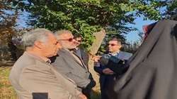جنگل‌های شمال ظرفیت تولید نیمی از آب مورد نیاز کشور را دارد.