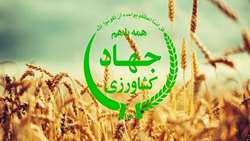 معاون وزیر جهاد: جهاد کشاورزی در اجرای قانون تسهیل مجوزها کوتاهی نکرده است.