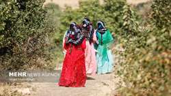 سرمایه گذاری 80 همتی دولت در بخش روستایی/ ایجاد 670 هزار شغل