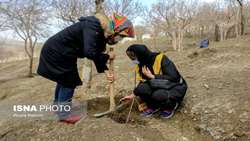 معاون وزیر جهاد کشاورزی اعلام کرد 11 آذر ماه، آغاز طرح کاشت یک میلیارد درخت/ فرصت‌های خوبی داریم.