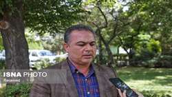 مدیرکل دفتر امور مراتع سازمان منابع طبیعی و آبخیزداری خبر داد: تدوین طرح تحول احیای پوشش گیاهی و تولید علوفه مراتع کشور
