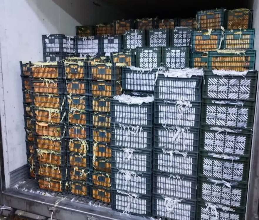 3333 
