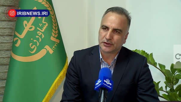 افزایش ۱۶ درصدی تولید برنج در کشور