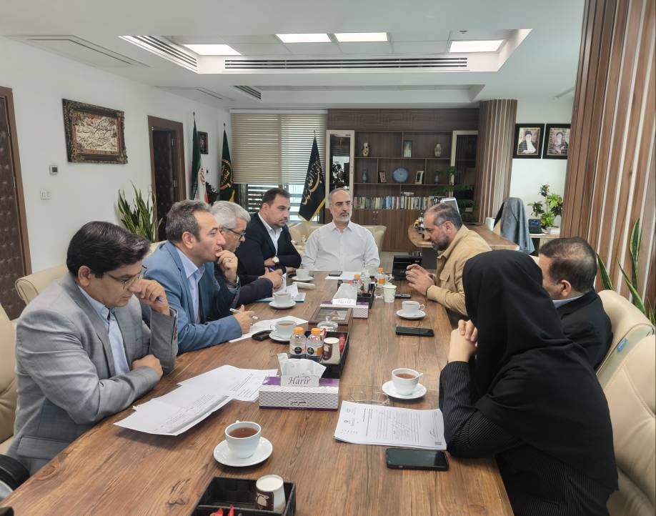 کیوی آستارا در مسیر بازارهای خارجی/ پیگیری برای تسهیل تولید و صادرات