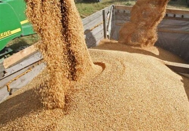 تولید داخل جایگزین 40 درصد جو وارداتی شد.