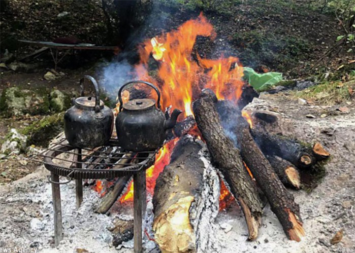 کاهش ۸۳ درصدی آتش سوزی در مناطق جنگلی